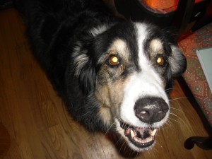 Diego, the sweet boy