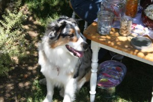 Cleo has to participate in everything.