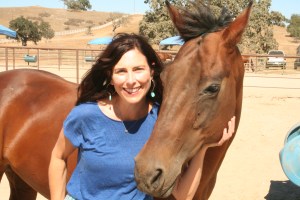 Last stop was Rancho Olivos to buy olive oil. I snuck into the corral next door to take a picture with a horse because I needed one for the Babbit Ranch newsletter where my blog will be mentioned soon! Can I please keep this horse?