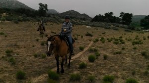 Mayroundup corrected