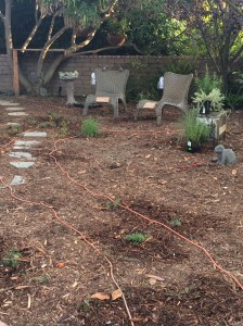 Sample path we made with extension cord