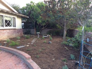 I tried making a path to the back yard to test it out.