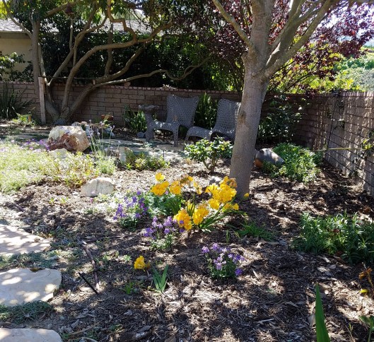 20170321_123655 (002)